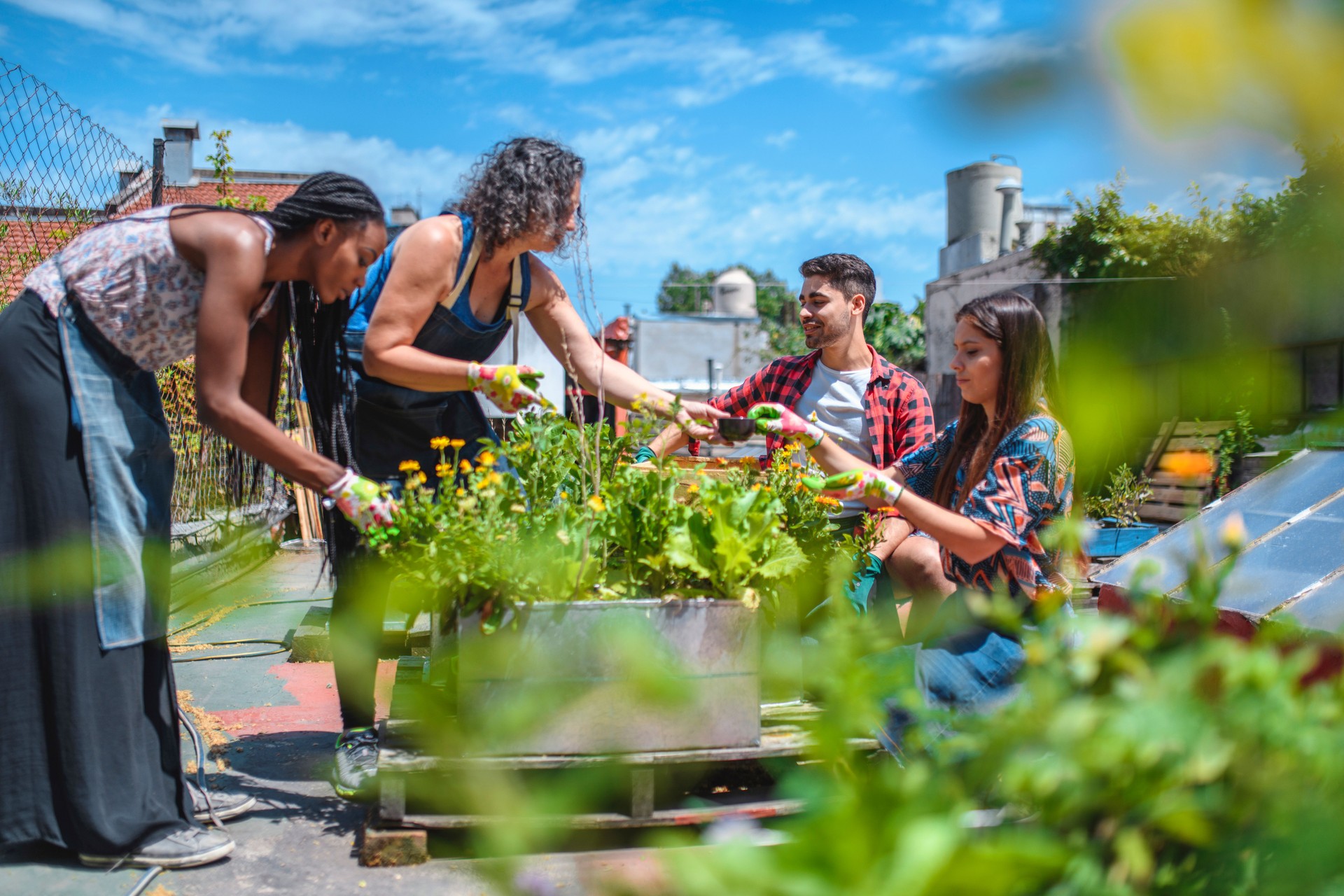 Mature Roof Gardener Working with Young Community Members